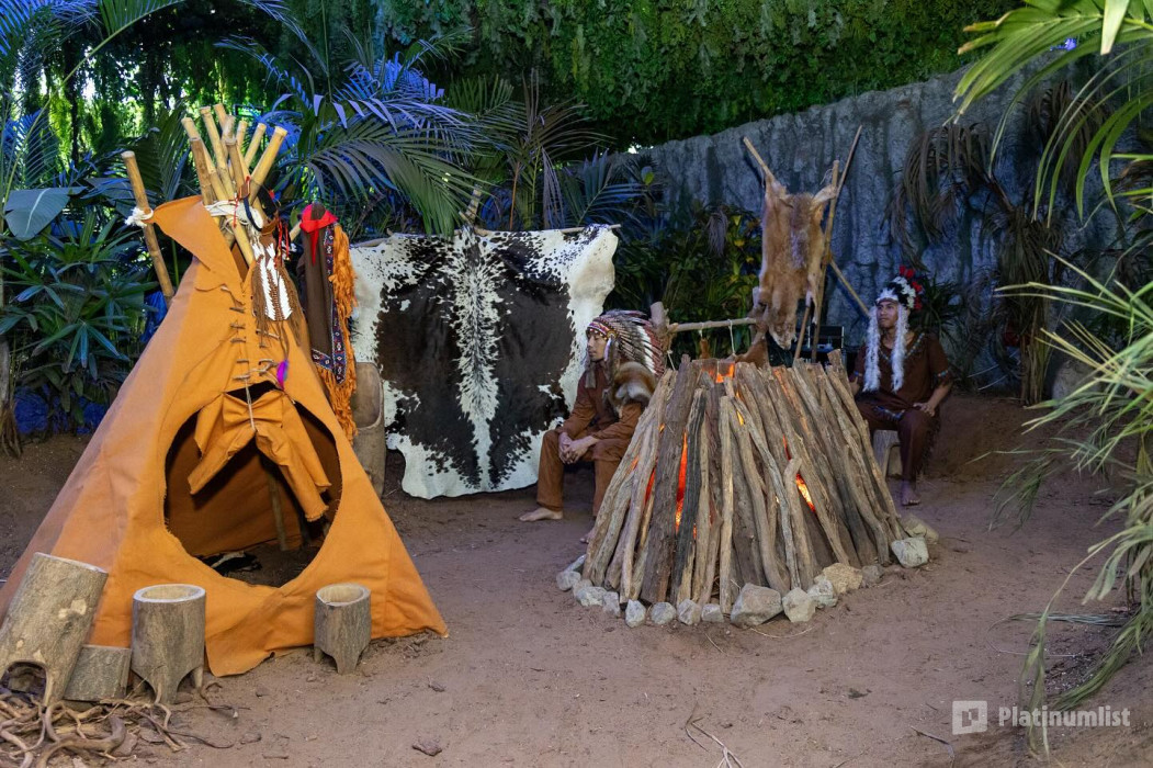 n699p1 استديو الصور :جدة في تروبيكال لاند n699p1 استديو الصور :جدة في تروبيكال لاند