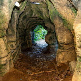 Photo from Tropical Land in Jeddah: Gallery Photo n15596