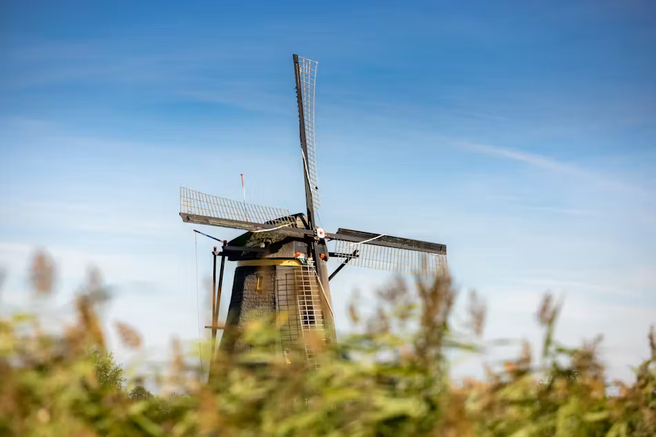 Photo from طواحين كيندردايك in كيندردايك: Gallery Photo 3yoobr