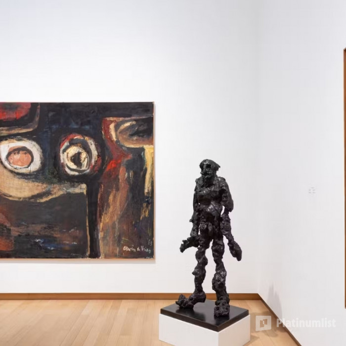 Stedelijk Museum Amsterdam: Entry Ticket in Amsterdam: Gallery Photo 3qeed8