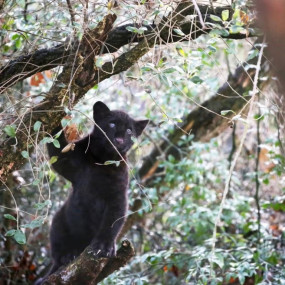Photo from ARTIS Amsterdam Royal Zoo: Entry Ticket in Amsterdam: Gallery Photo zg44dy