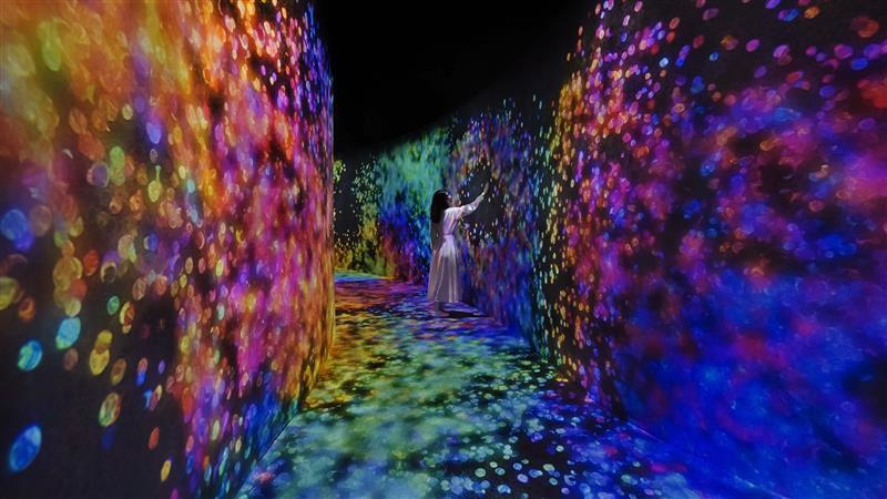 Photo de TeamLab Phenomena + Yas Waterworld - Combo dans Abu Dhabi : Galerie Photo n15e5b