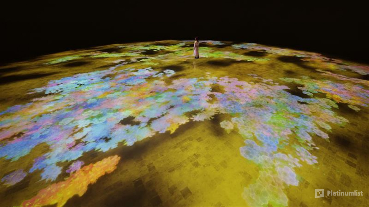 TeamLab Phenomena + Yas Waterworld - Combo in Abu Dhabi : Galerie de photos 34jej8