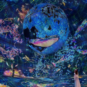 Photo de TeamLab Phenomena + Yas Waterworld - Combo dans Abu Dhabi : Galerie Photo zw6p6e