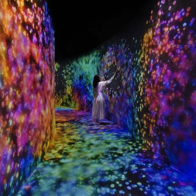 TeamLab Phenomena + Louvre Abu Dhabi - Combo in Abu Dhabi: Gallery Photo n0vdvp