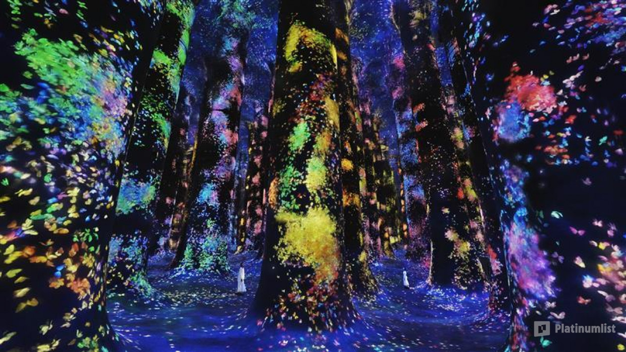 TeamLab Phenomena + Louvre Abu Dhabi - Combo in Abu Dhabi : Galerie de photos 38y221