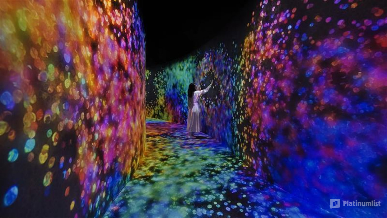TeamLab Phenomena + Qasr Al Watan - Combo in Abu Dhabi: Gallery Photo n26qq4