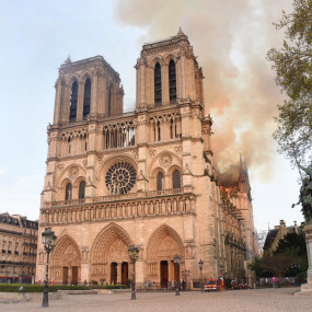 Notre-Dame de Paris - Exterior tour with free entry in Paris: Gallery Photo z94yd8