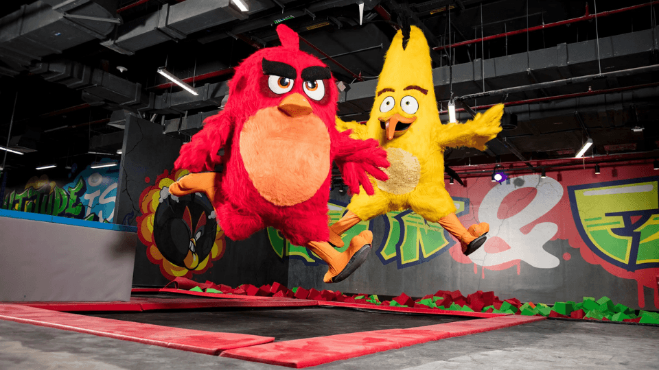 Photo from مدينة الملاهي عالم أنجري بيردز in الدوحة: Gallery Photo z94yxq