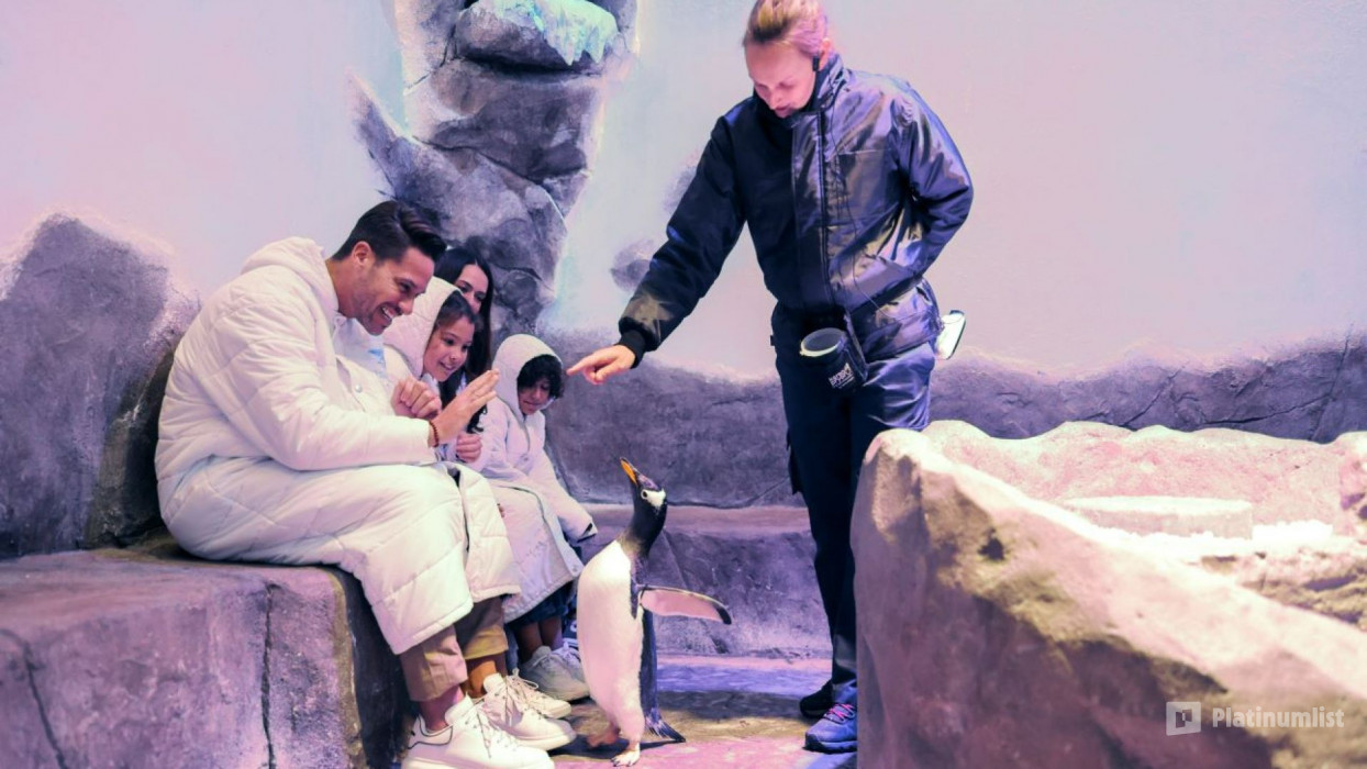 38y2mr استديو الصور :دبي في أكواريوم دبي وحديقة الحيوانات المائية – جولد 38y2mr استديو الصور :دبي في أكواريوم دبي وحديقة الحيوانات المائية – جولد