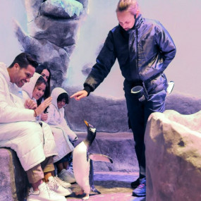 38y2mr استديو الصور :دبي في أكواريوم دبي وحديقة الحيوانات المائية – جولد