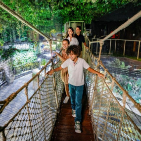 Photo de Dubai Aquarium & Underwater Zoo - Gold dans Dubai : Galerie Photo zod4ee