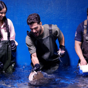 Photo de Dubai Aquarium & Underwater Zoo - Gold dans Dubai : Galerie Photo 3j5rww