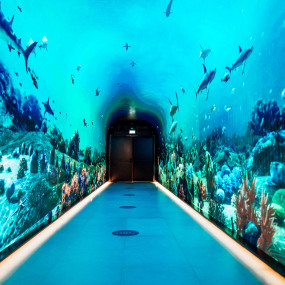 Photo de The View at The Palm - General Admission - Non Prime Hours dans Dubai : Galerie Photo 3qegy8