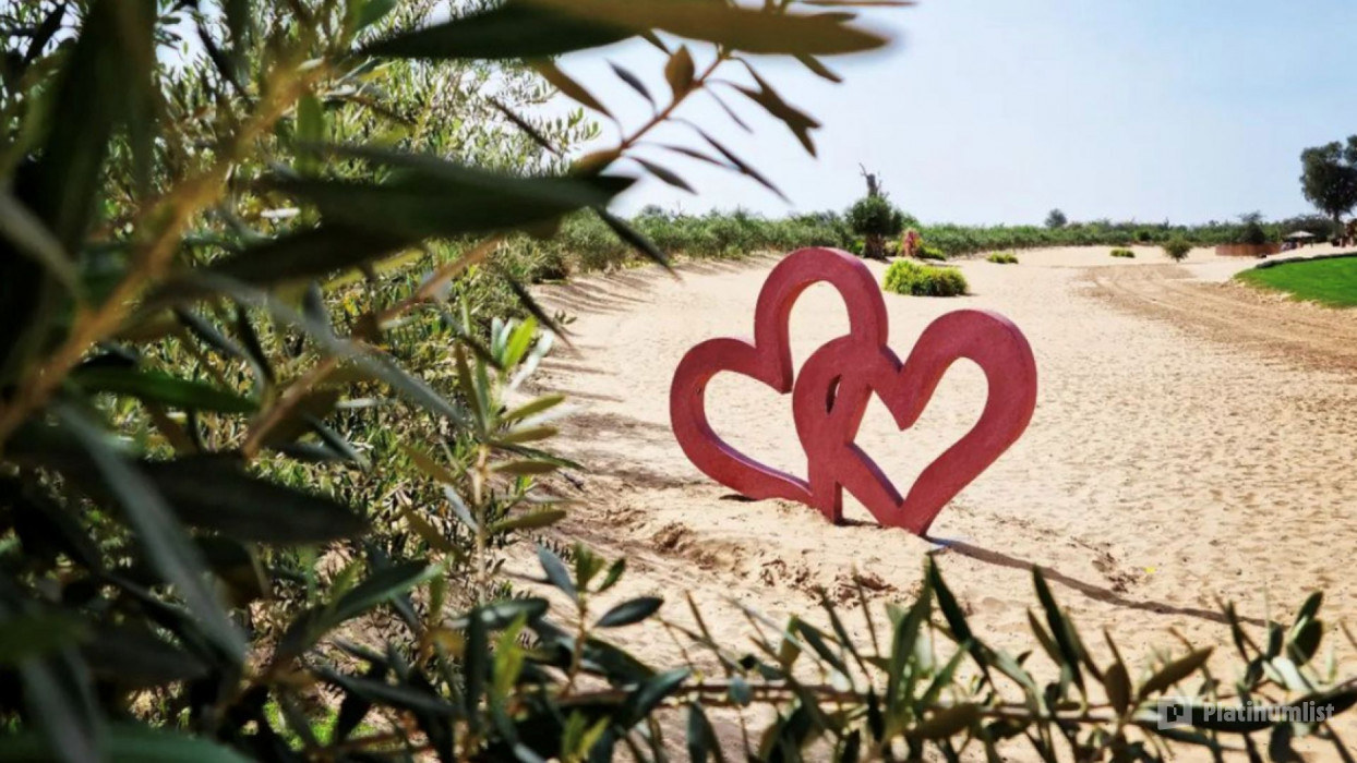 zv6k57 استديو الصور :دبي في تجربة الدراجات الكهربائية في صحراء دبي – جولة عند شروق الشمس أو غروبها zv6k57 استديو الصور :دبي في تجربة الدراجات الكهربائية في صحراء دبي – جولة عند شروق الشمس أو غروبها