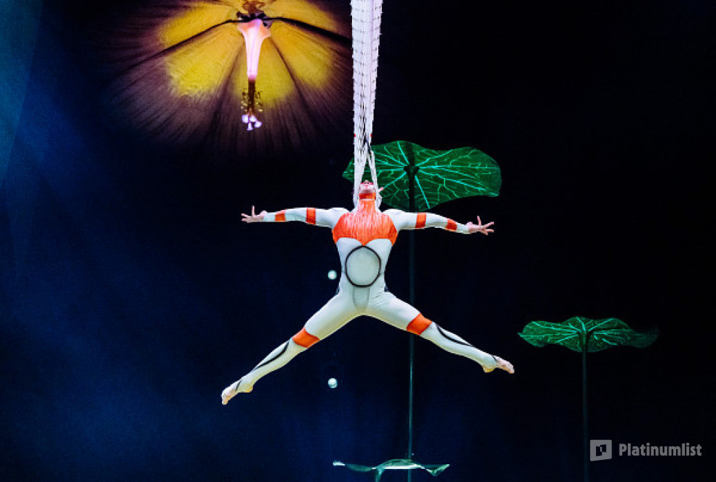 Cirque du Soleil: OVO Tickets in London in London : Galerie de photos zm0rjp