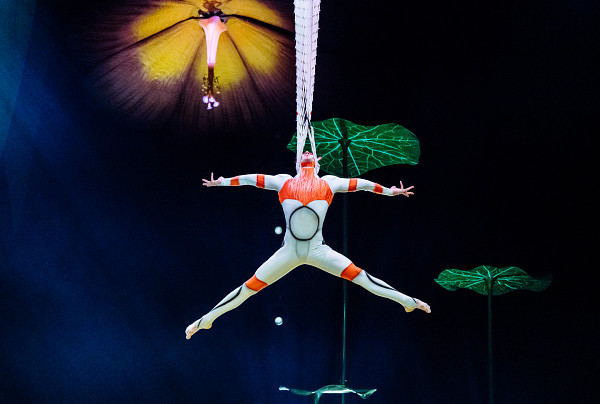 Photo from Cirque du Soleil: OVO Tickets in London in London: Gallery Photo zm0rjp