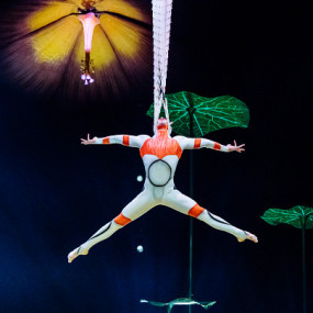 zm0rjp استديو الصور :لندن في Cirque du Soleil: OVO Tickets in London