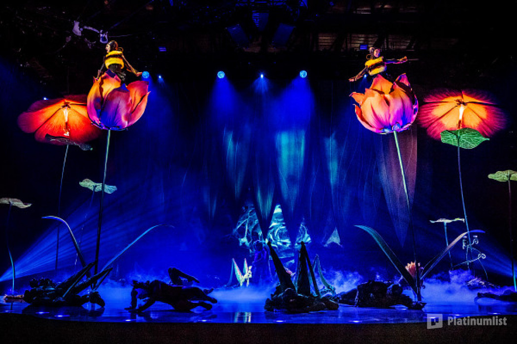 Cirque du Soleil: OVO Tickets in London in London : Galerie de photos z948q1