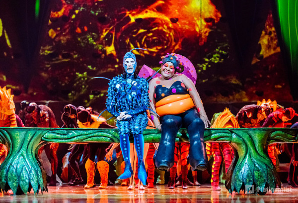 n0v24v استديو الصور :لندن في Cirque du Soleil: OVO Tickets in London