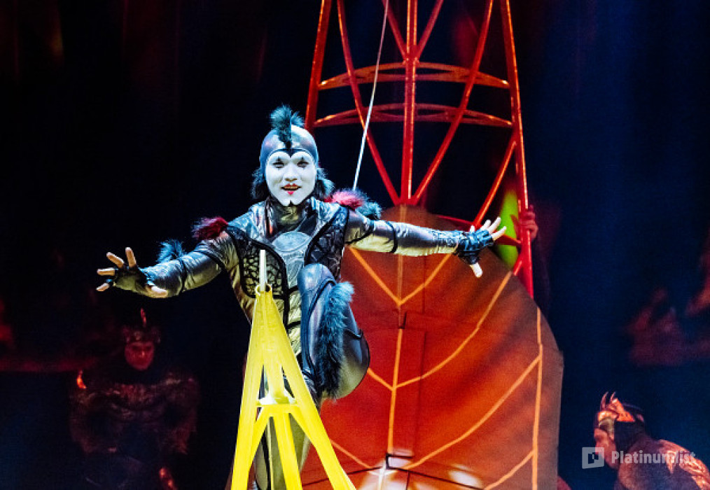 38y4xq استديو الصور :لندن في Cirque du Soleil: OVO Tickets in London 38y4xq استديو الصور :لندن في Cirque du Soleil: OVO Tickets in London