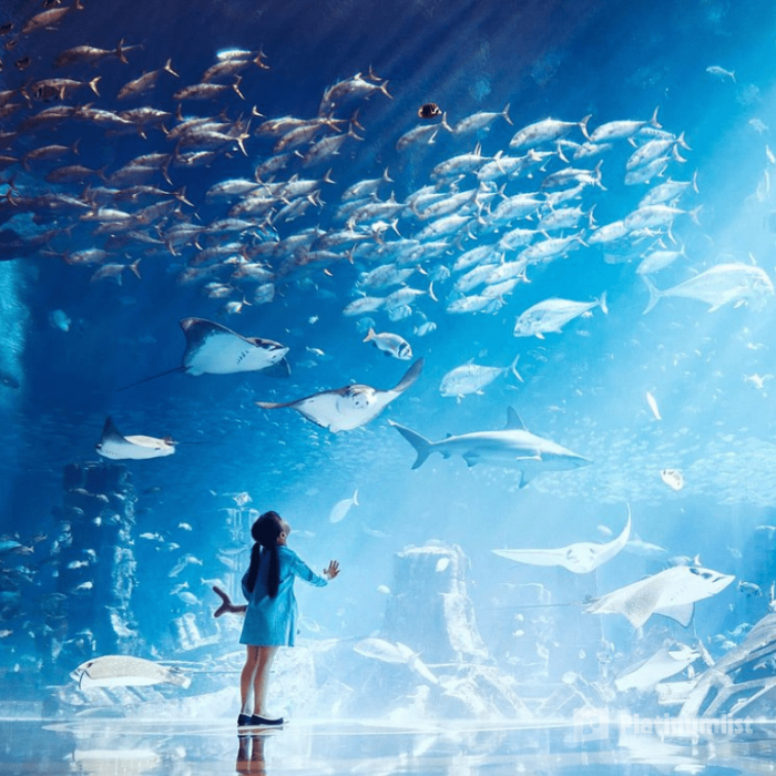 Atlantis Aquaventure Waterpark in Dubai: Gallery Photo nkerxv