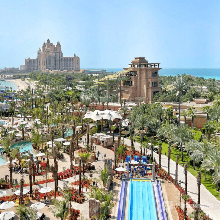 Atlantis Aquaventure Waterpark in Dubai: Gallery Photo n69vd1