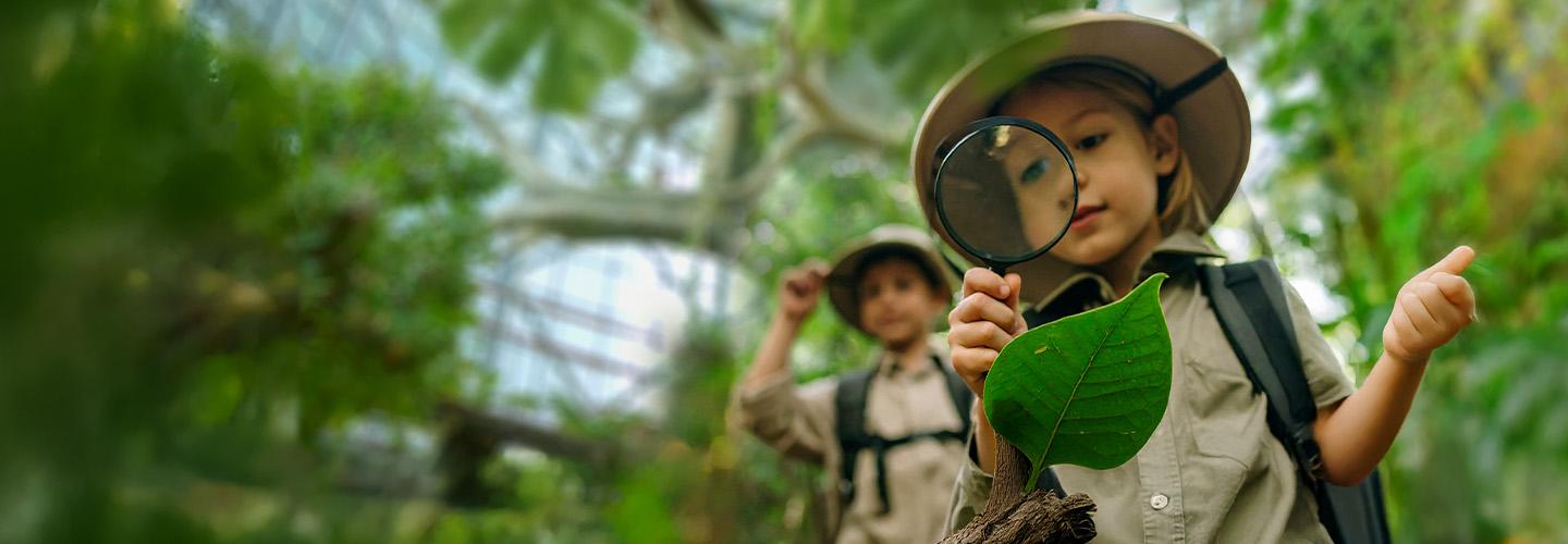 Photo from ذا غرين بلانيت + عين دبي – باقة مشتركة in دبي: Gallery Photo 3e7ykb