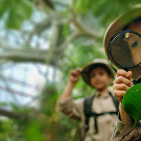 The Green Planet + Ain Dubai - Combo in Dubai: Gallery Photo 3e7ykb The Green Planet + Ain Dubai - Combo in Dubai: Gallery Photo 3e7ykb