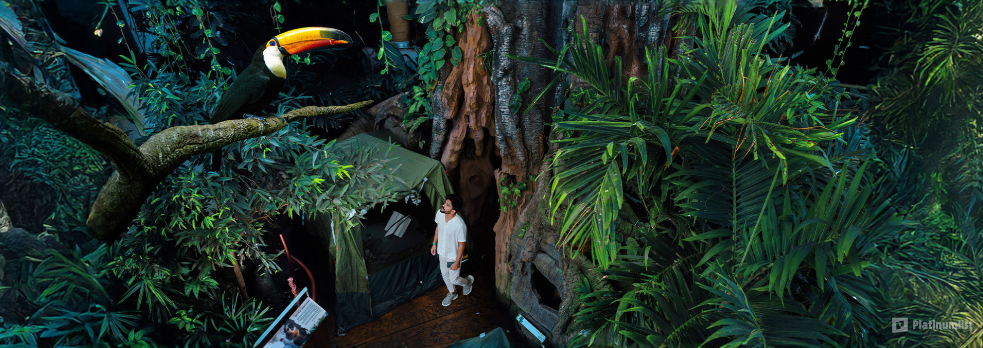 3rwg25 استديو الصور :دبي في ذا غرين بلانيت + عين دبي – باقة مشتركة