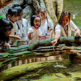 The Green Planet + Ain Dubai - Combo in Dubai: Gallery Photo 3bjq5j The Green Planet + Ain Dubai - Combo in Dubai: Gallery Photo 3bjq5j