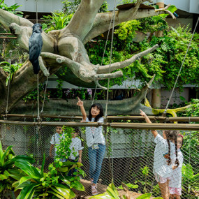 The Green Planet + Ain Dubai - Combo in Dubai: Gallery Photo zw6vgp The Green Planet + Ain Dubai - Combo in Dubai: Gallery Photo zw6vgp