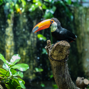 Photo from ذا غرين بلانيت + عين دبي – باقة مشتركة in دبي: Gallery Photo zm0rqw