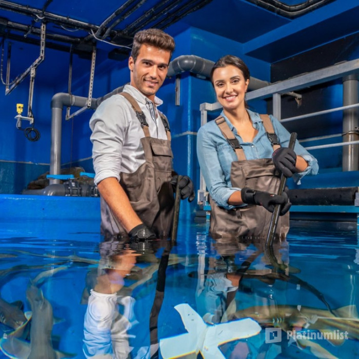 Dubai Aquarium & Underwater Zoo - Shark Trainer Encounter in Dubai : Galerie de photos n26erk