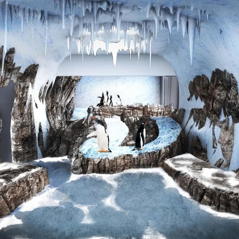 Photo from لقاء البطريق - دبي أكواريوم وحديقة الحيوانات المائية in دبي: Gallery Photo n152dp