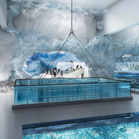 3d7q8k استديو الصور :دبي في لقاء البطريق - دبي أكواريوم وحديقة الحيوانات المائية