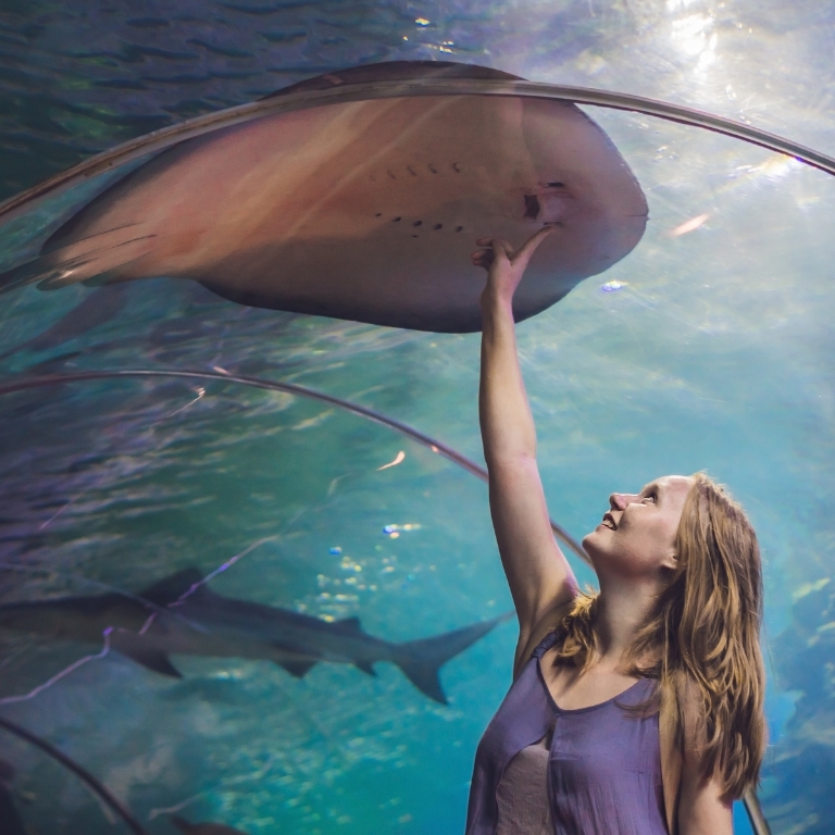 Photo from Dubai Aquarium & Underwater Zoo - Ray Encounter in Dubai: Gallery Photo 3e7ypw