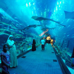 Photo from At The Top, Burj Khalifa Silver + Dubai Aquarium in Dubai: Gallery Photo zm0r58