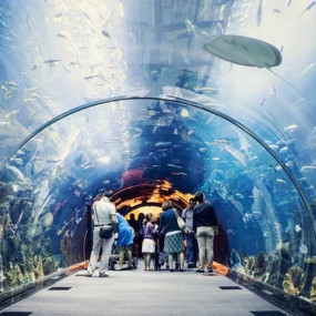 Photo from At The Top, Burj Khalifa Silver + Dubai Aquarium in Dubai: Gallery Photo z948xq