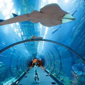 Photo from At The Top, Burj Khalifa Silver + Dubai Aquarium in Dubai: Gallery Photo n0v219