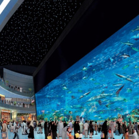 Photo from At The Top, Burj Khalifa Silver + Dubai Aquarium in Dubai: Gallery Photo zv6kg0