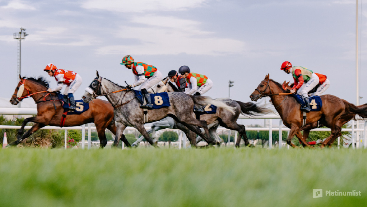 The Garden: Race Meeting 1 - The Velora Garden, 25 Oct in Abu Dhabi : Galerie de photos 3j50ey