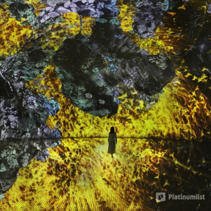 TeamLab Phenomena Abu Dhabi + Free Light and Peace museum in Abu Dhabi : Galerie de photos 3pj2eq