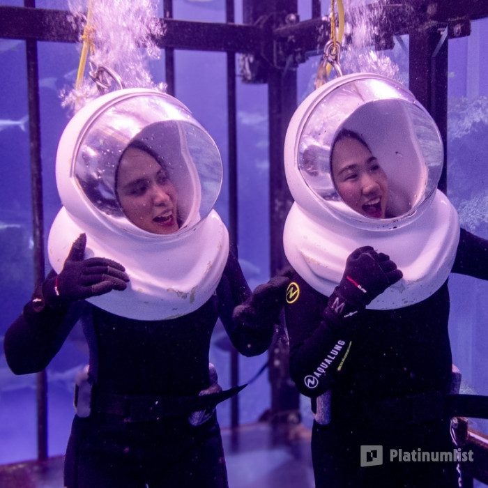 zodw84 استديو الصور :دبي في تجربة الغوص مع القروش في دبي أكواريوم