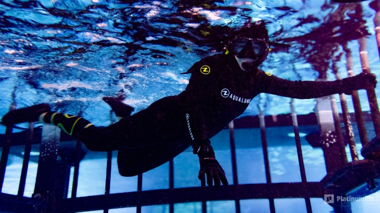 3yo8d4 استديو الصور :دبي في تجربة قفص الغطس في دبي أكواريوم وحديقة الحيوانات المائية