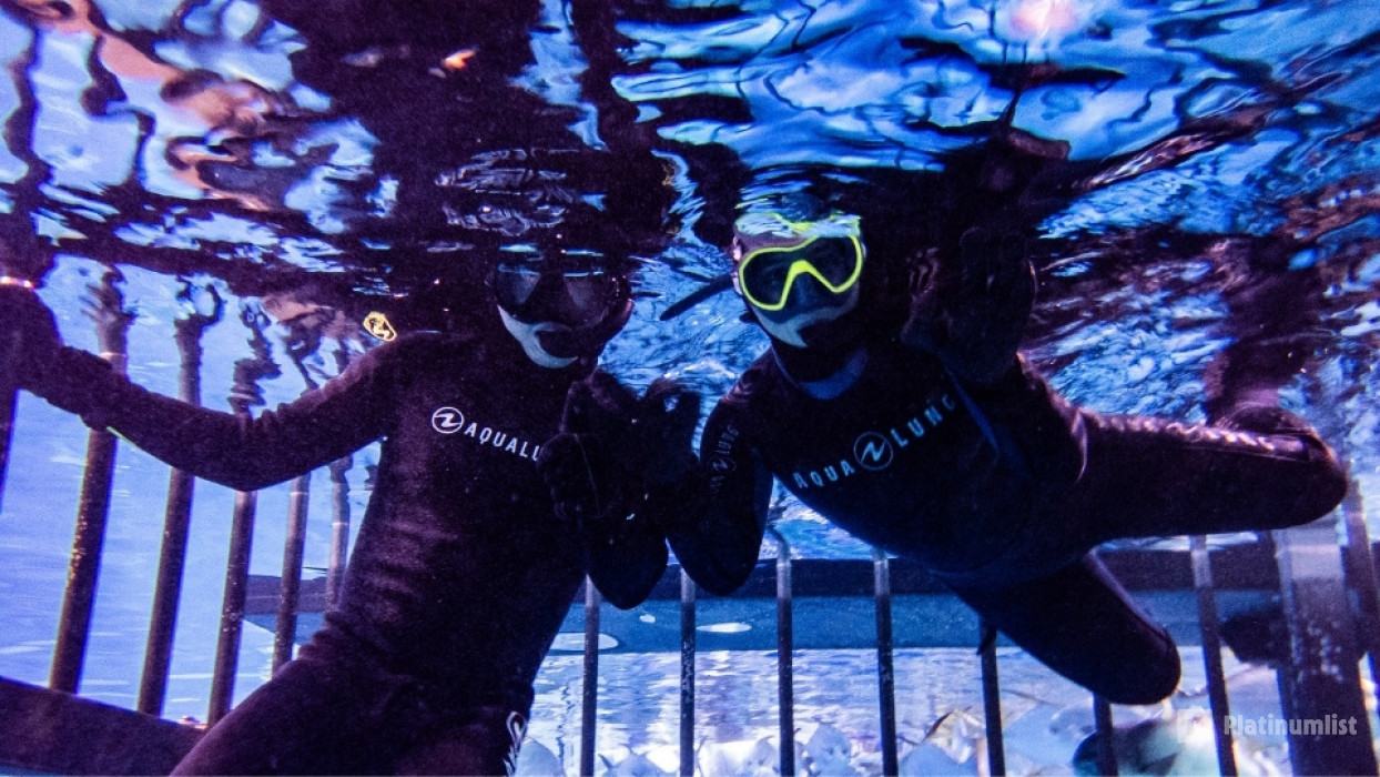 Dubai Aquarium & Underwater Zoo Cage Snorkelling in Dubai : Galerie de photos n69x5p