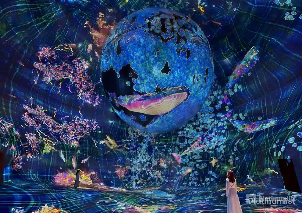 TeamLab Phenomena Abu Dhabi - Dated in Abu Dhabi : Galerie de photos zm0vr6