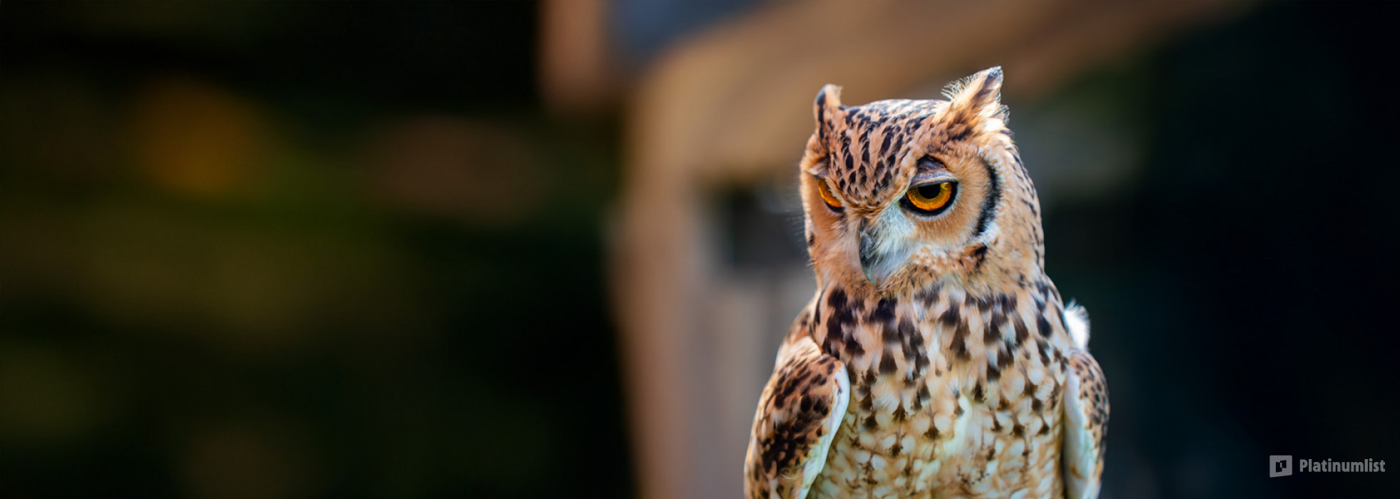 Emirates Park Zoo in Abu Dhabi : Galerie de photos zg4rpr