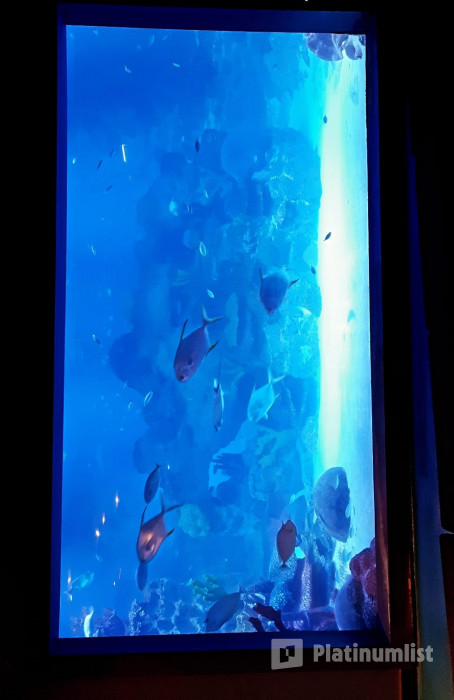 Istanbul: Emaar Aquarium + SkyView Combo in Istanbul: Gallery Photo 35yjrm