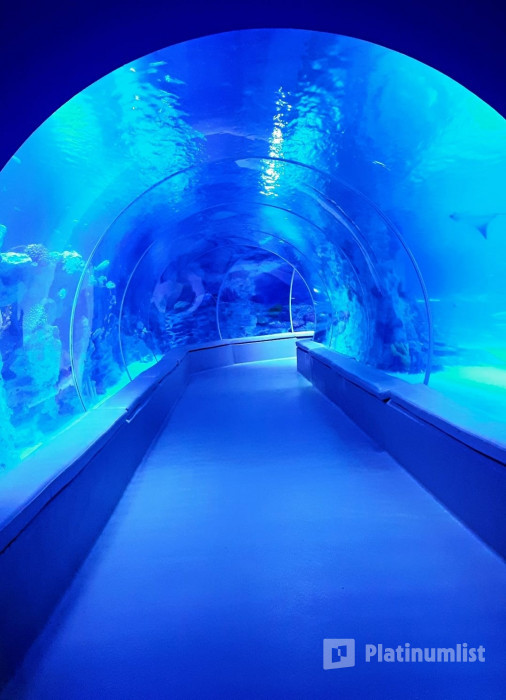 Istanbul: Emaar Aquarium + SkyView Combo in Istanbul: Gallery Photo n69x81